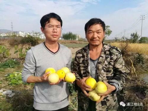 临猗县吃瓜群众活动,吃瓜群众共度欢乐时光