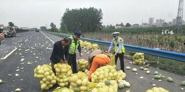 吃瓜群吃瓜群众违法吗,网络舆论的边界与法律风险