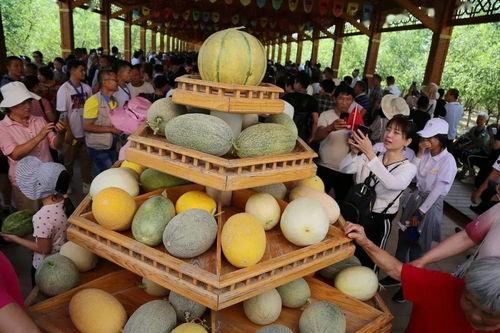 吃瓜群众团团,揭秘吃瓜群众背后的故事