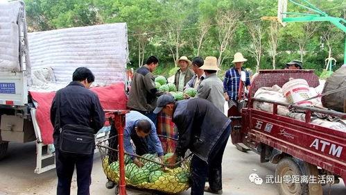 仁港吃瓜群众,揭秘街头巷尾的热议焦点