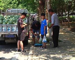 沅陵吃瓜群众,揭秘当地生活百态