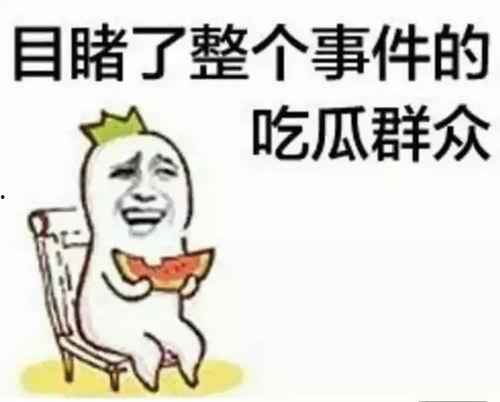 吃瓜群众的自信是什么梗,吃瓜群众自信背后的社会现象解析