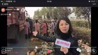 哥谭市吃瓜群众是谁啊,揭秘吃瓜群众的神秘身份