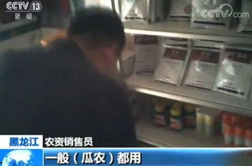 哥谭市吃瓜群众是谁啊,揭秘吃瓜群众的神秘身份