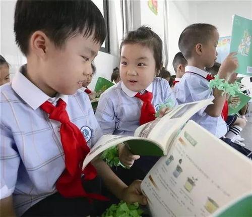 园本课程幼儿园吃瓜群众,吃瓜群众的趣味探索之旅