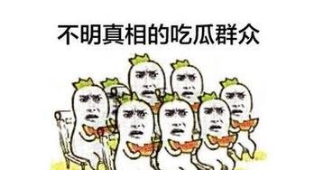 播放吃瓜群众,揭秘娱乐圈幕后真相
