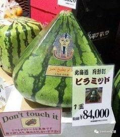 世界上最恐怖的吃瓜群众,一场场惊心动魄的围观风云