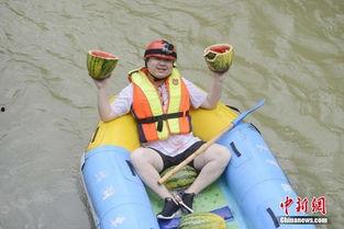 平江吃瓜群众事件,一场网络舆论的风暴与反思