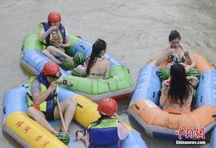 平江吃瓜群众事件,一场网络舆论的风暴与反思