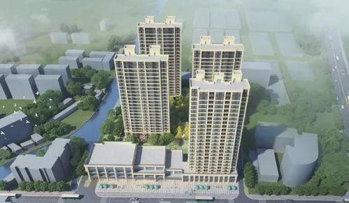 青岛楼市吃瓜群众,吃瓜群众视角下的风云变幻