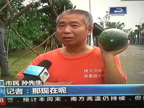 乐陵吃瓜群众事件,网络舆论下的社会现象解析