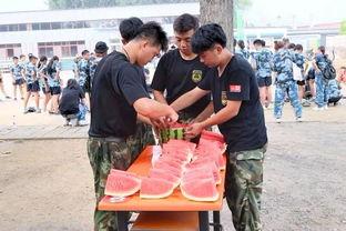 乐陵吃瓜群众事件,网络舆论下的社会现象解析