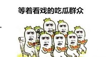 训斥吃瓜群众的话语,理性看待社会事件