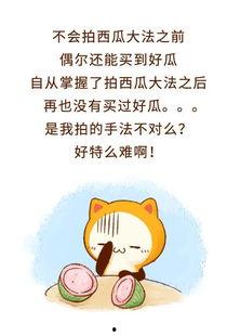 做吃瓜群众看世间百态,吃瓜群众视角下的世间百态