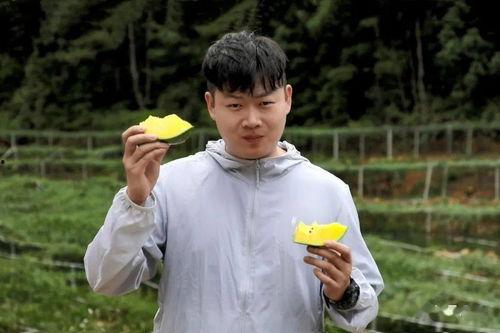 刘也吃瓜群众,吃瓜群众眼中的娱乐圈风云人物