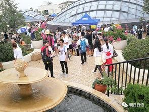 安阳世和府吃瓜群众,吃瓜群众眼中的繁华盛景