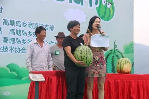 各大烟草公司吃瓜群众,吃瓜群众眼中的烟草公司风云录