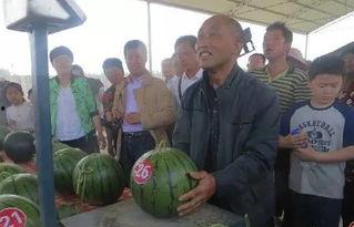 各大烟草公司吃瓜群众,吃瓜群众眼中的烟草公司风云录