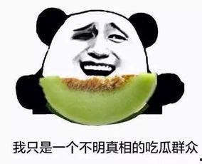 不限量吃瓜群众,不限量吃瓜群众的热闹现场