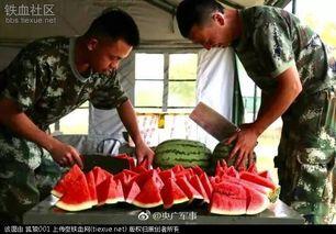 吃瓜群众点赞不说话怎么办,揭秘网络沉默背后的心理奥秘