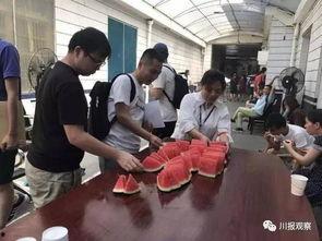 大量吃瓜群众视频图片,海量吃瓜群众视频图片盘点