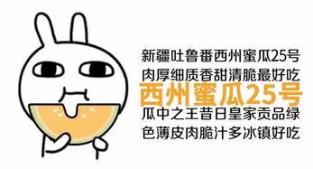 看你笑话的吃瓜群众是谁,网络围观背后的心理探秘