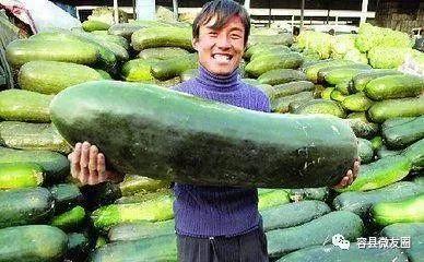 爱自拍群众吃瓜,吃瓜看热闹,记录生活点滴