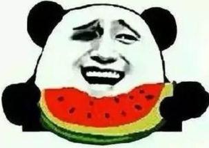 吃瓜群众怎么种瓜,轻松掌握瓜类种植技巧