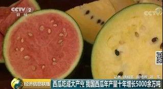 微信吃瓜群众吃西瓜,夏日西瓜盛宴
