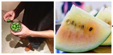 微信吃瓜群众吃西瓜,夏日西瓜盛宴