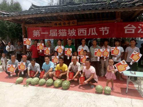 广西柳州吃瓜群众,吃瓜群众的夏日盛宴