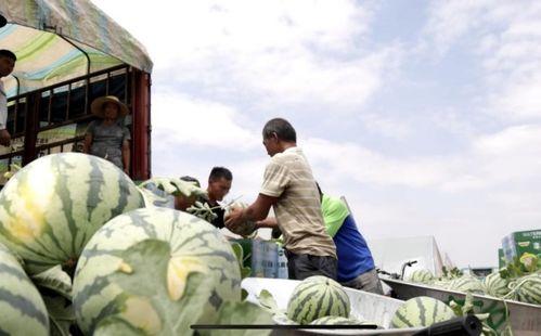 和平区吃瓜群众事件最新消息,最新进展揭秘