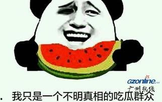 第一个吃瓜群众什么意思,网络热词背后的文化现象